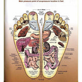 Wood Crafts Wooden 6 Roller Stress Acupressure 30.5 x 15.2 x 10.2 cm