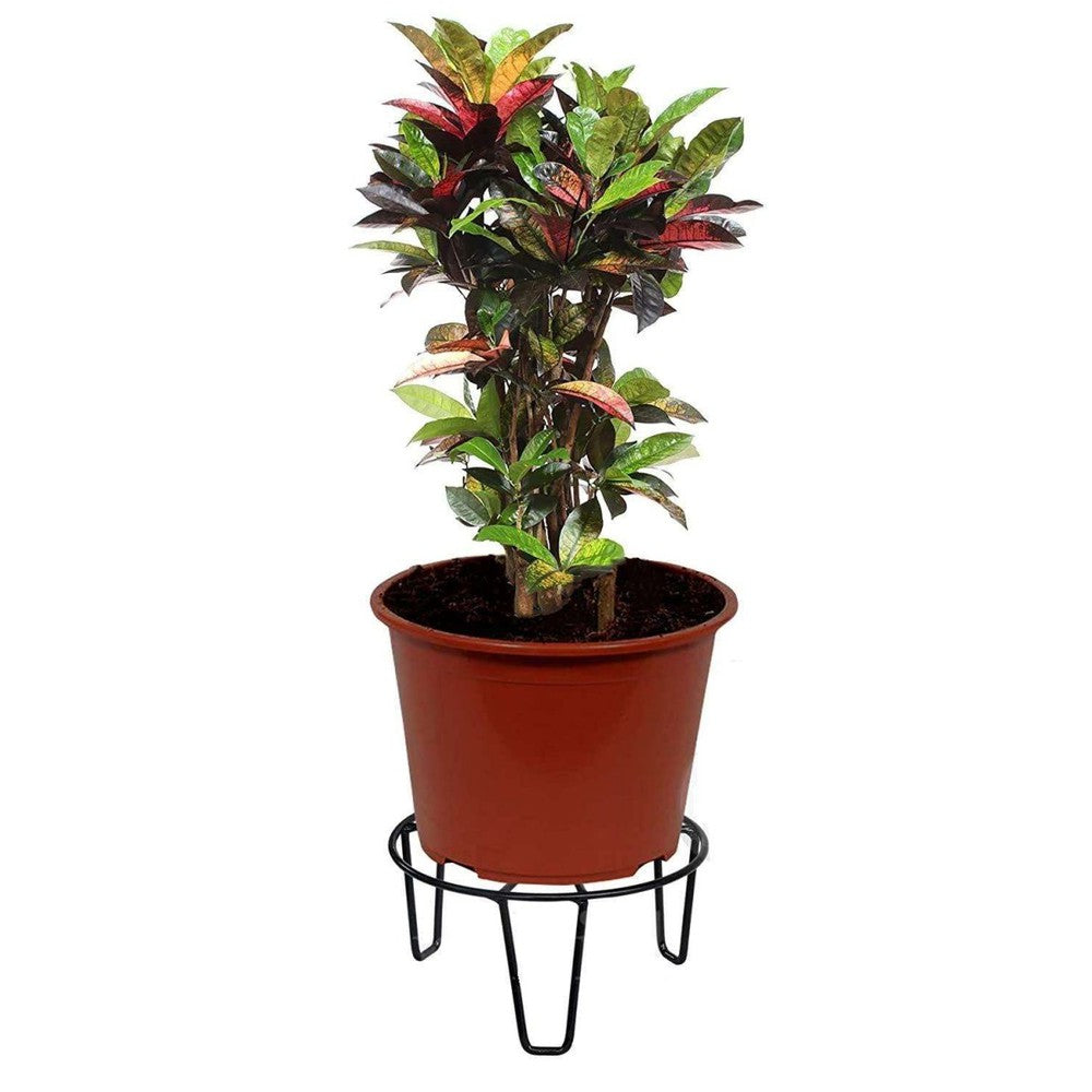 Iron Plant Stand, Flower Pot Stand - Decorlay