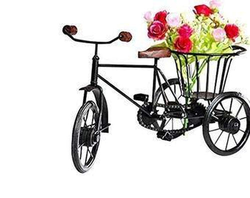Wrought Iron & Wooden Home Decorative Cycle Rickshaw Stand-Decorlay